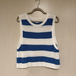 American Eagle Outfitters Blue and White Knit Top